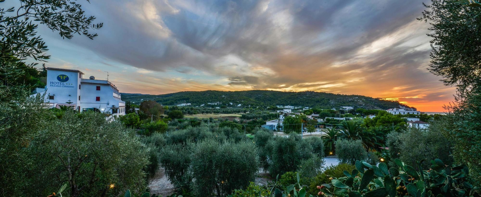 Hotel Piccolo Paradiso Peschici Eksteriør billede